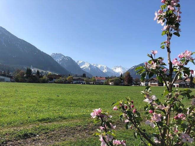 Obermuller helene