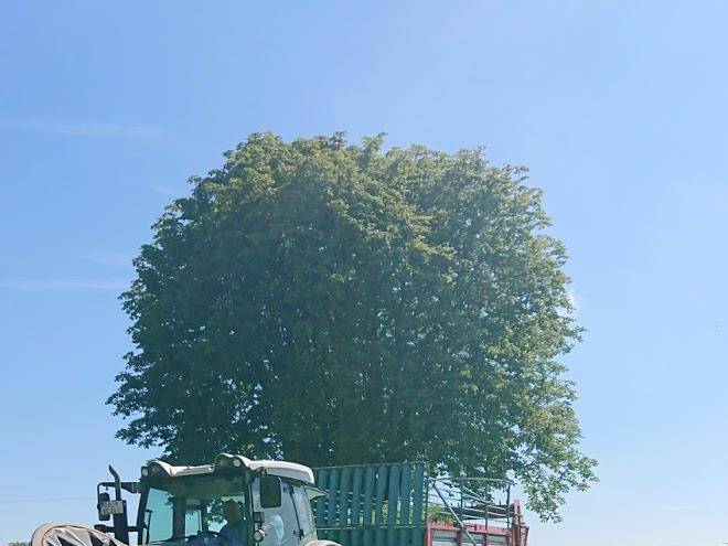 Bergammerhof