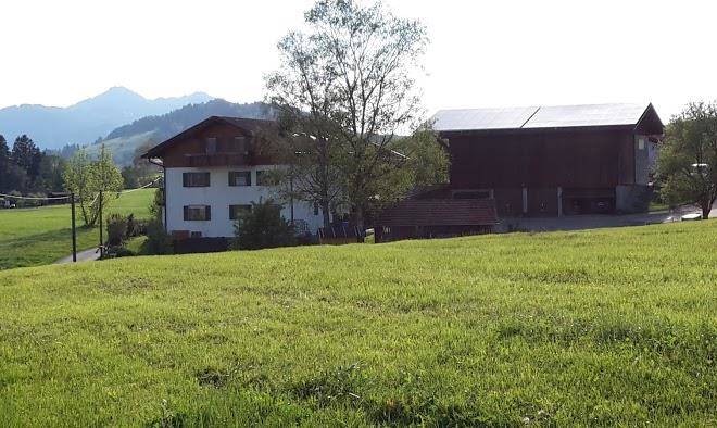 Panoramahof miller