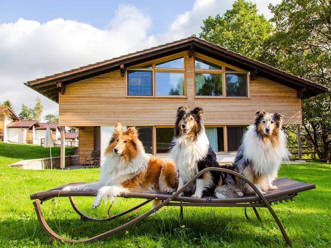 Gutshotel feuerschwendt im bayerischen wald