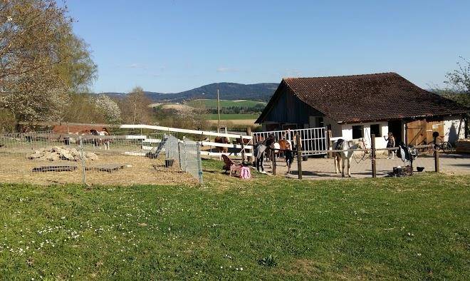 Ponyhof grunberger bayern