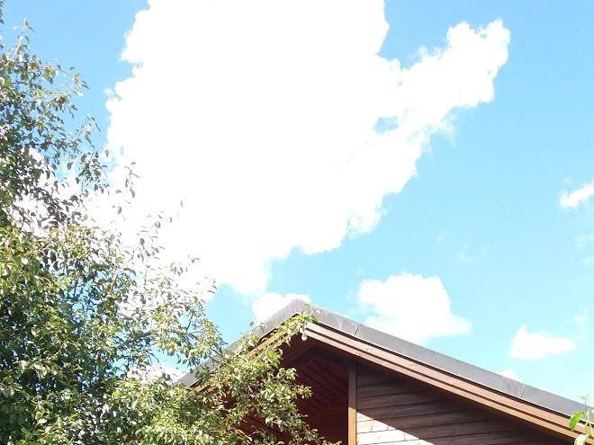 Feriendorf bayerwald viechtach