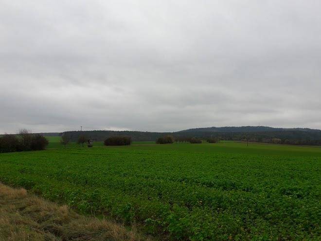 Pension rhonblick