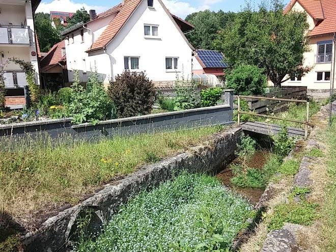 Zum hirschen