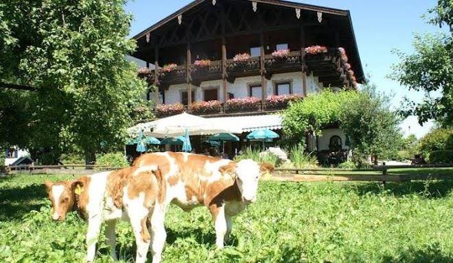 Alpenhof
