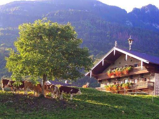 Altenburger hof