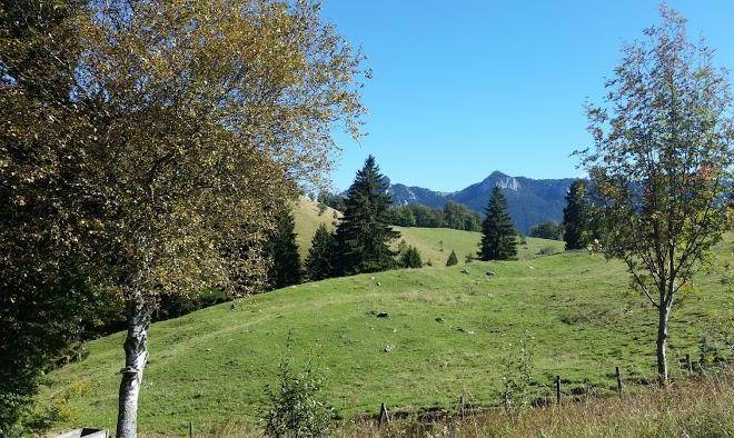 Gumpertsberger hutte