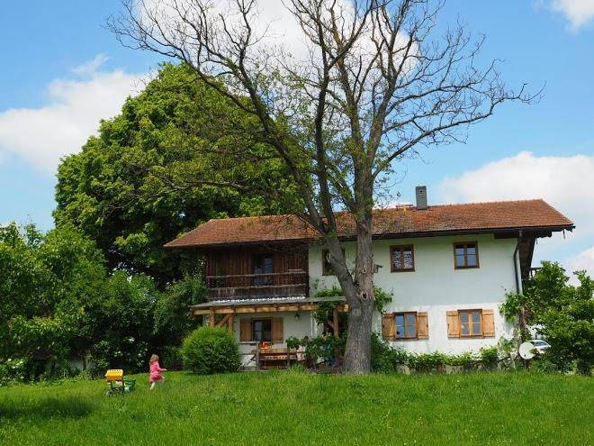 Stettner hof