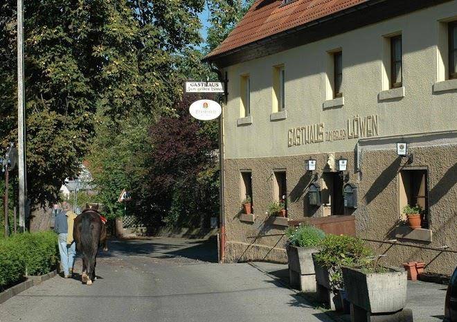 Gelber lowe gmbh