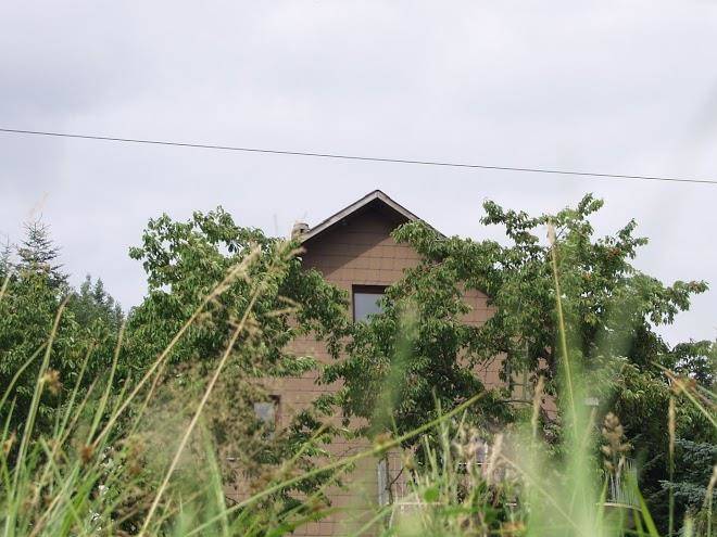Ferienhaus hollerbusch