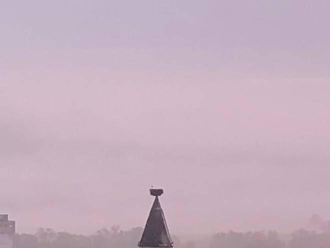 Hotel alter pfarrhof