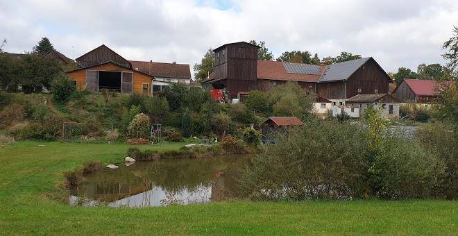 Dollinger hof