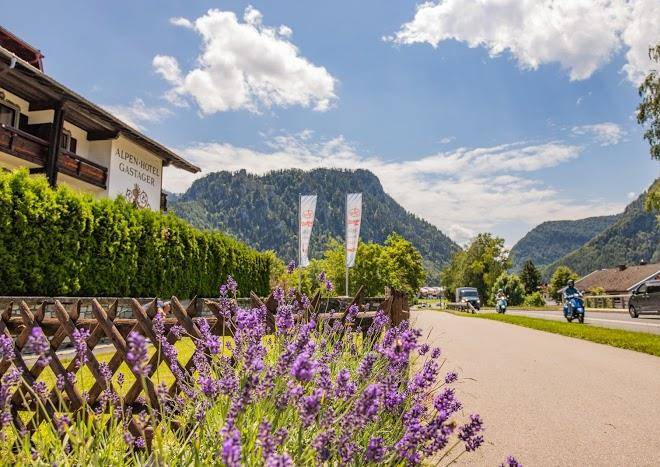 Alpenhotel gastager