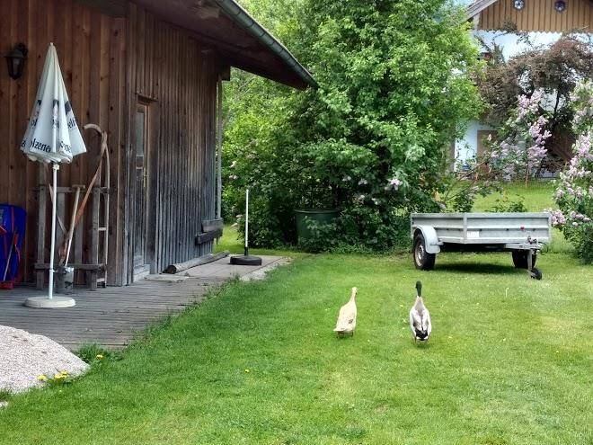 Familie josef gehmacher