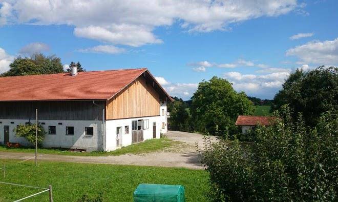 Ferienwohnung knittler