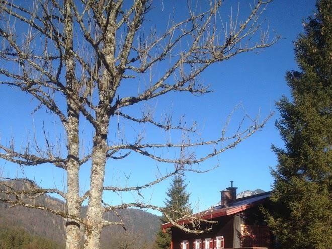 Gatterl zum see