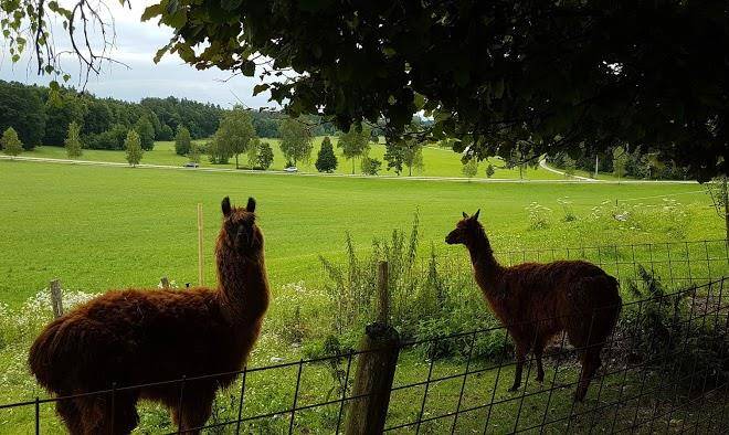 Hahnbaumerhof Marlene Rehrl Image