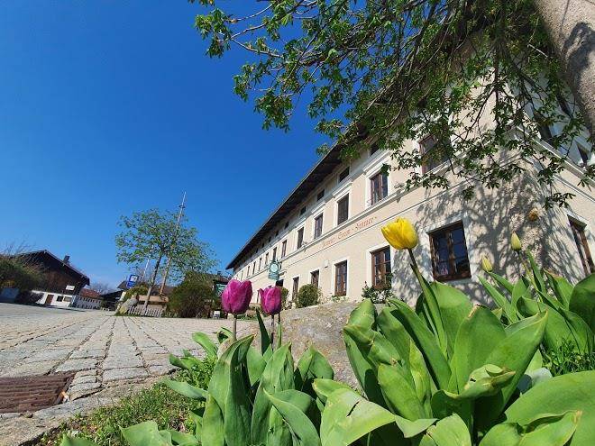 Gasthof pension neuwirt seeon