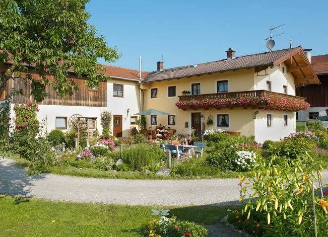 Stefanutti hof