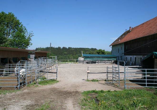 Gestut schochenhof