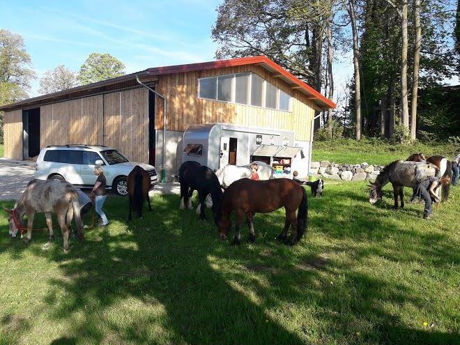 Familie orterer