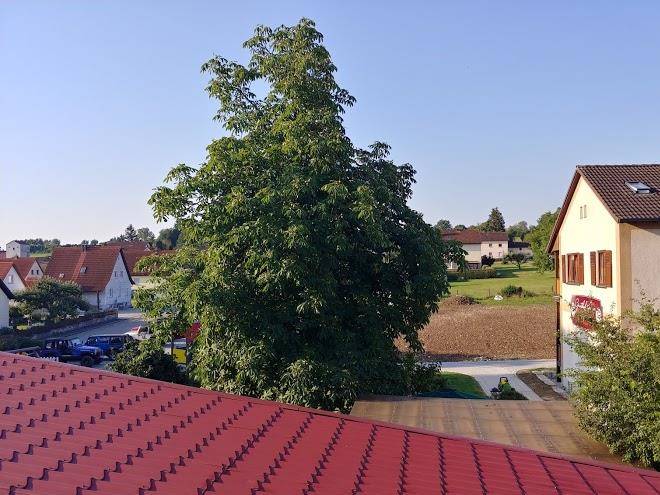 Hotel gasthof rose