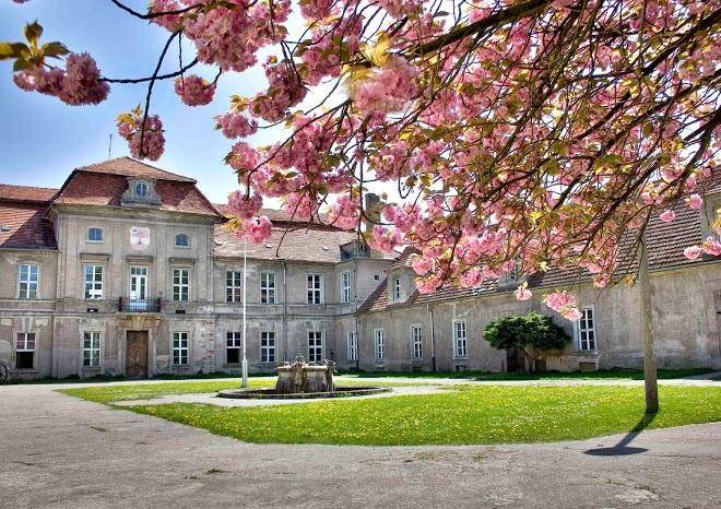 Schloss plaue