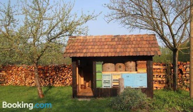 Ferienwohnung weidengrund burg kauper