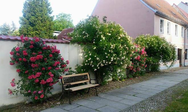 Pension herberge alte meisterey