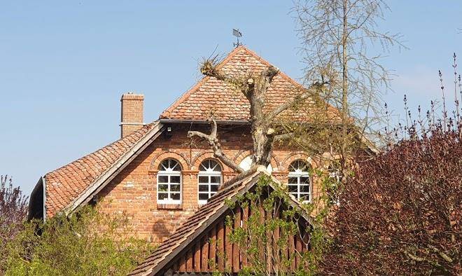 Gasthof und pension zum alten fritz