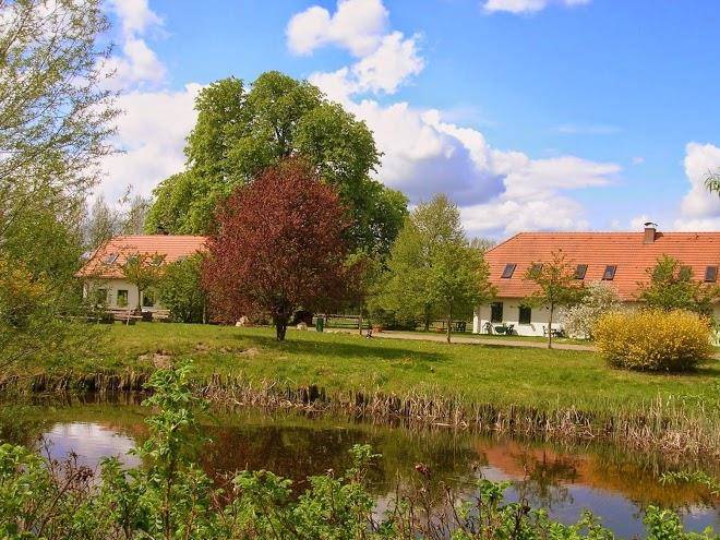 Ponyhof neuholland kinderferien gmbh
