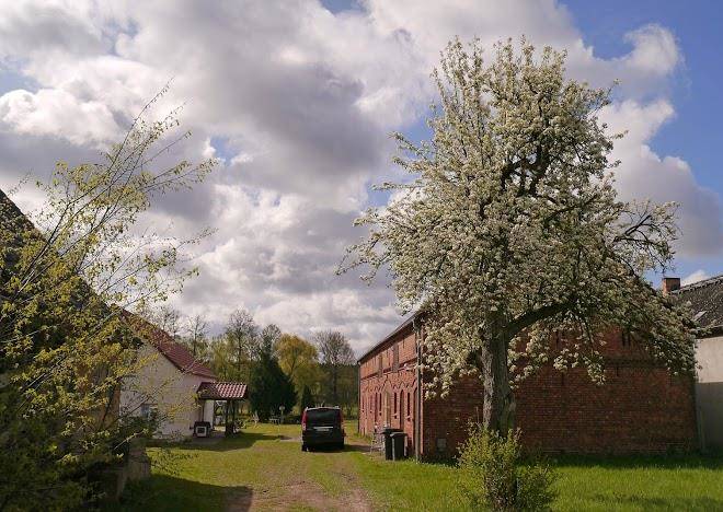Spreewaldtipi kuckunniwi