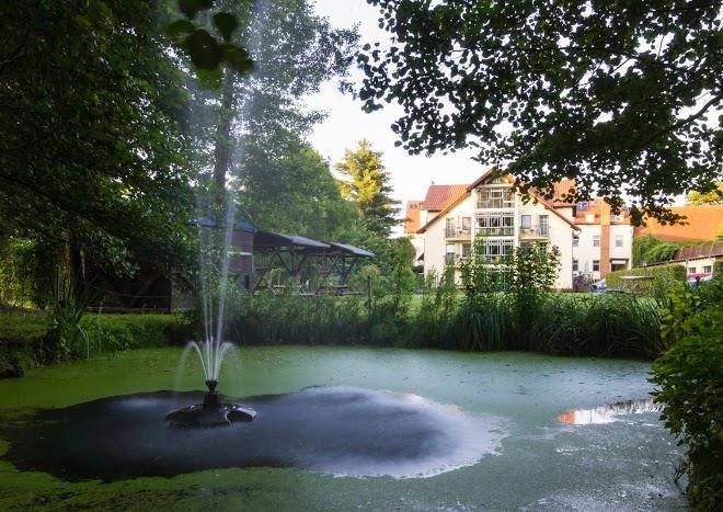 Hotel & restaurant am alten rhin
