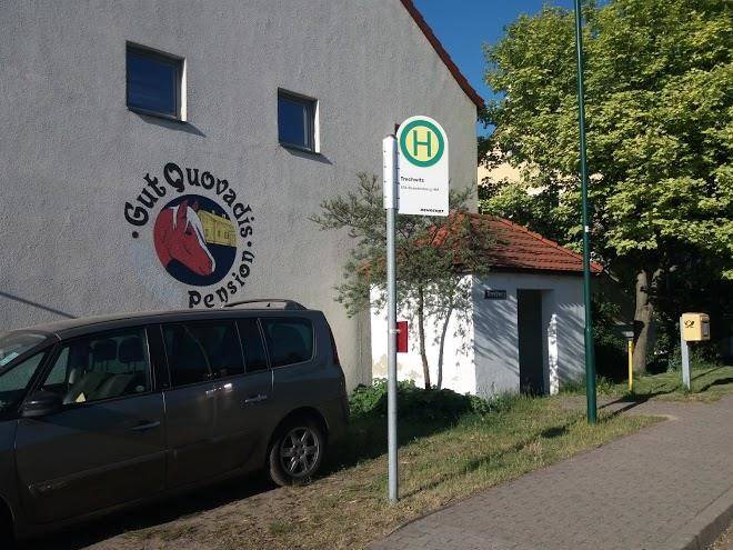 Gut quovadis