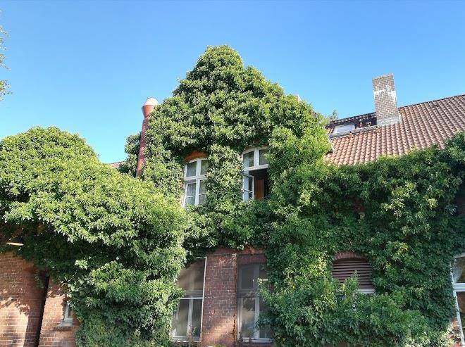Deutscher hof