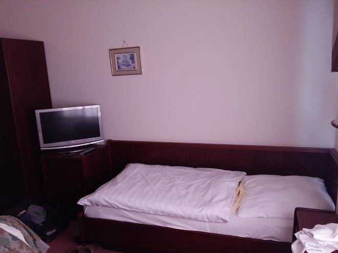 Hotel zum braunen hirsch