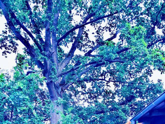 Pension hansel & gretel