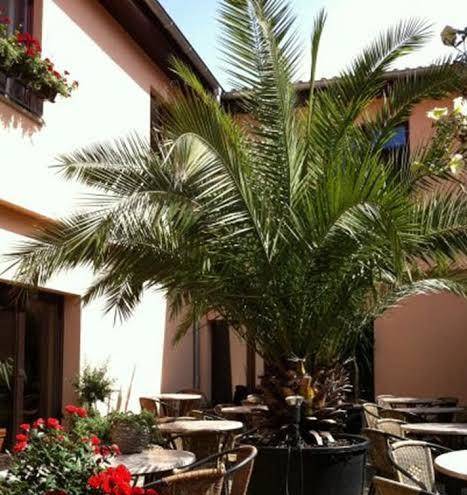 Hotel Arte Vida Image