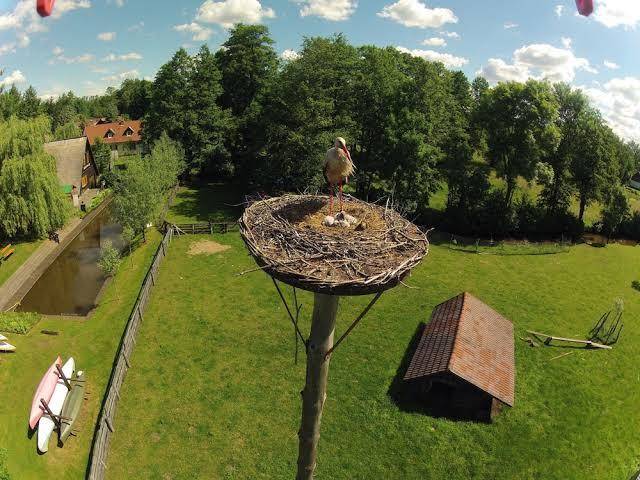 Landgasthof zur wildbahn