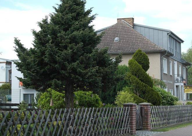 Altes zollhaus