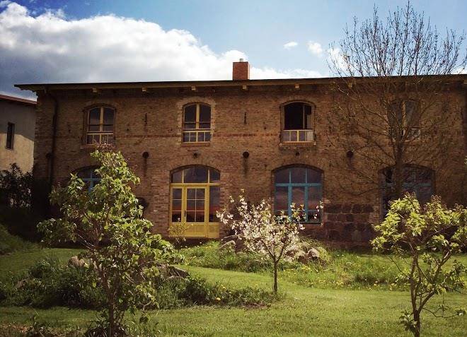 Baumi hof