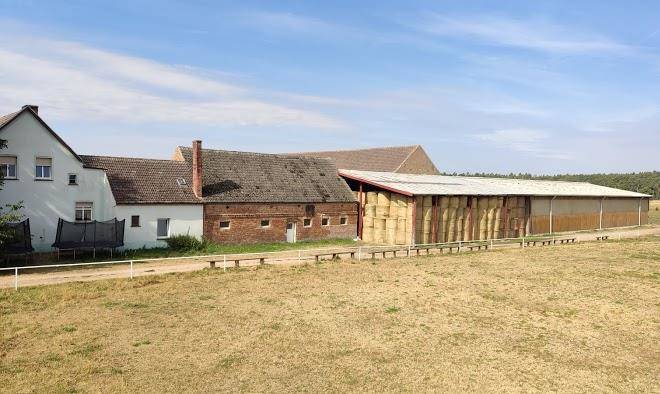 Reiterhof und pferdepension steindamm