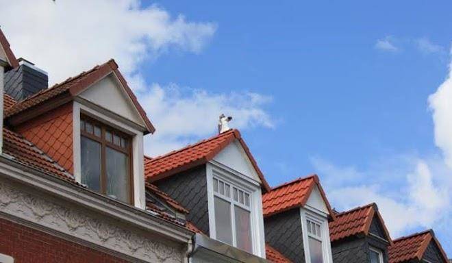 Der kunstsalon