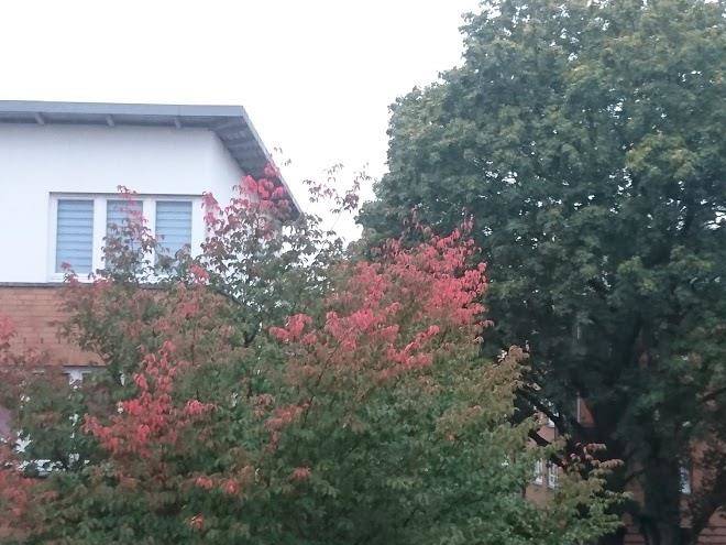 Hotel hansen gmbh