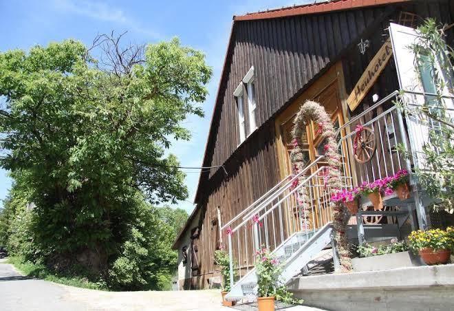 Gasthof zum grunen baum