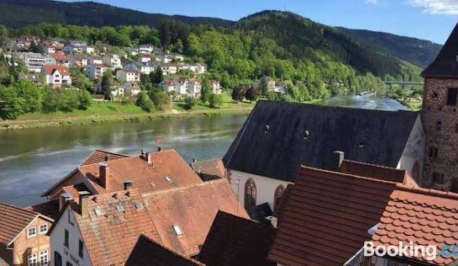 Neckarblick Natur Altstadt Image