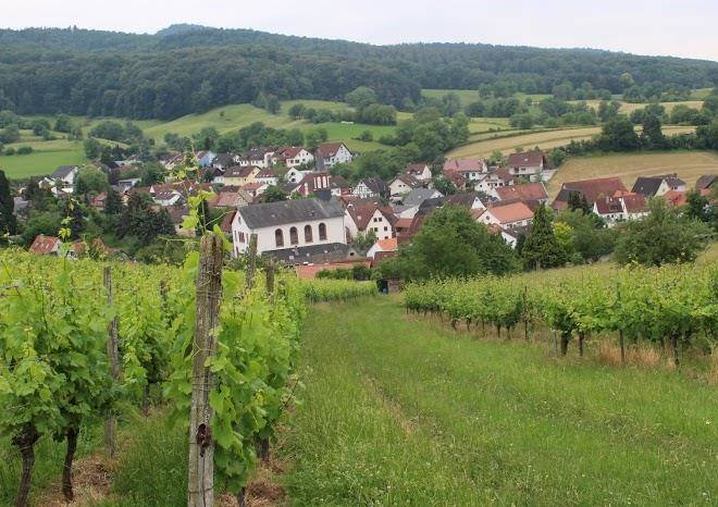 Oase der ruhe
