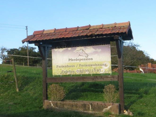 Pferdehof und wanderreitstation dorsam ferienhaus ferienwohnung