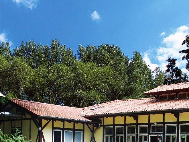 Jugendhof bessunger forst ev