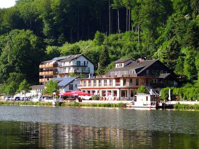 Hotel und restaurant roter kater und graue katze